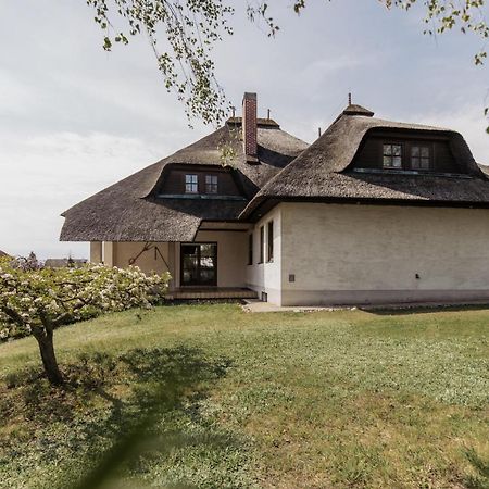 Ferienhaus Schilfvilla Morbisch am See Bagian luar foto